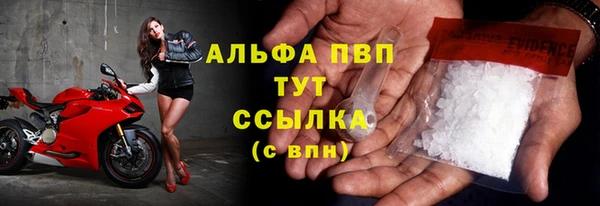 гидра Верея