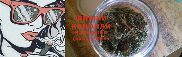 гидра Верея